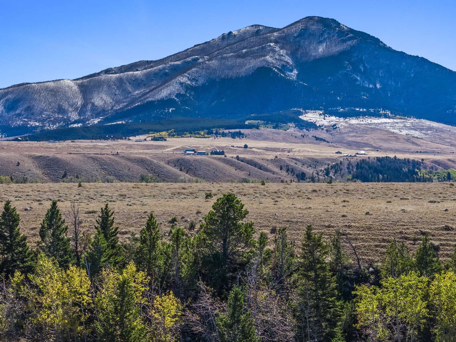 Beartooth Mountains above golden grassland near Red Lodge, Montana
