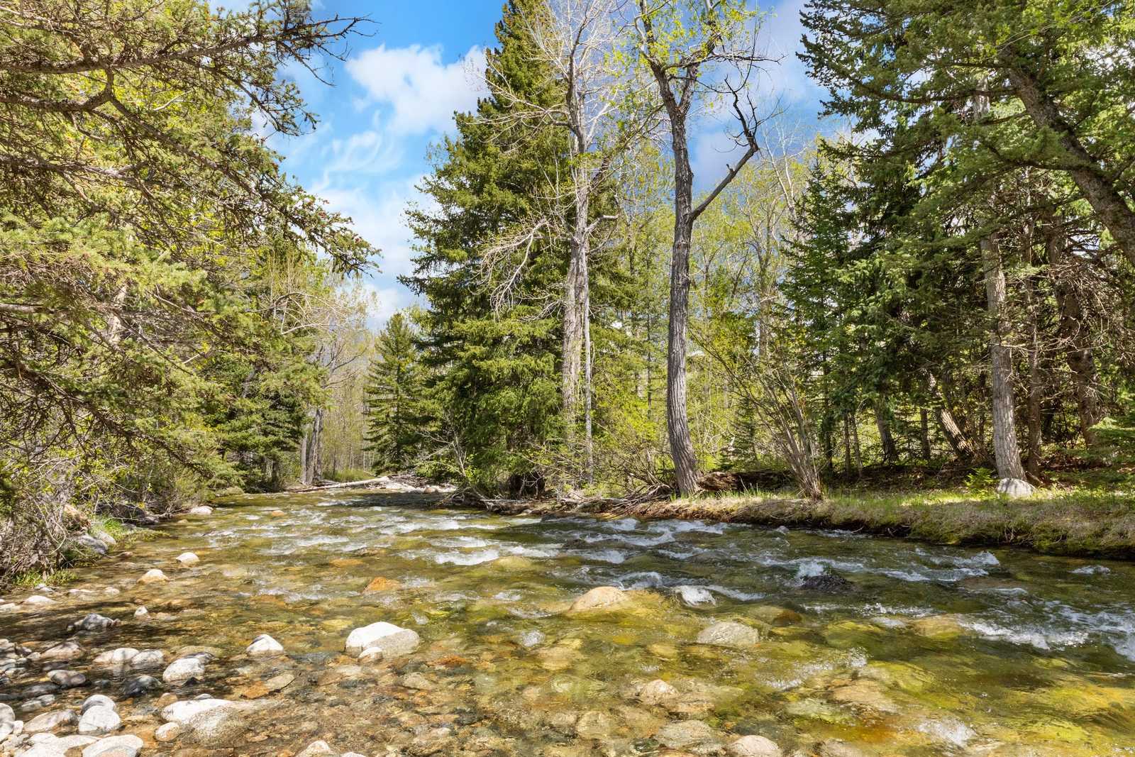 Rock Creek running through a wooded parcel near Red Lodge, Montana