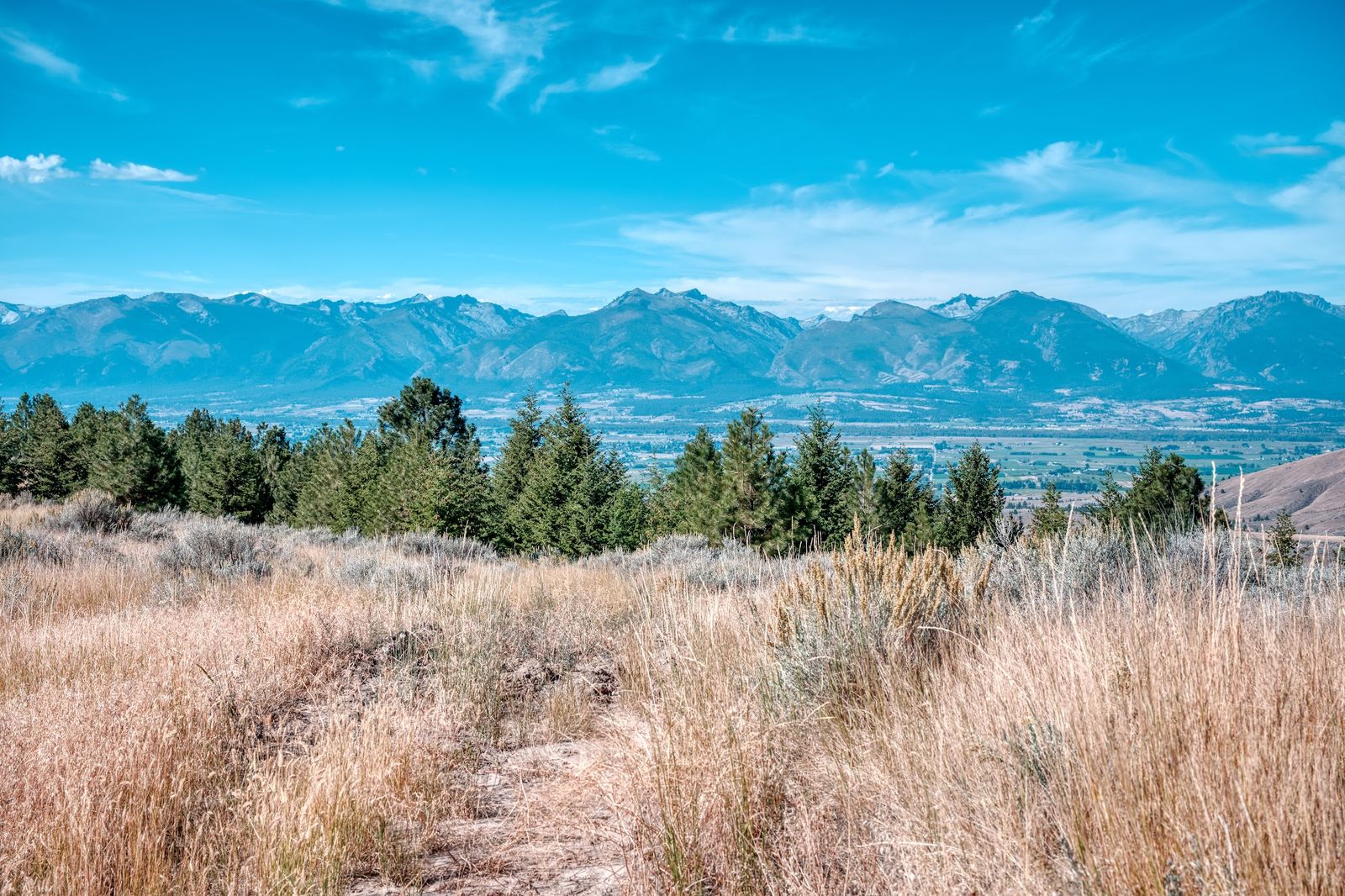 Open grassland rolling toward distant Montana mountains