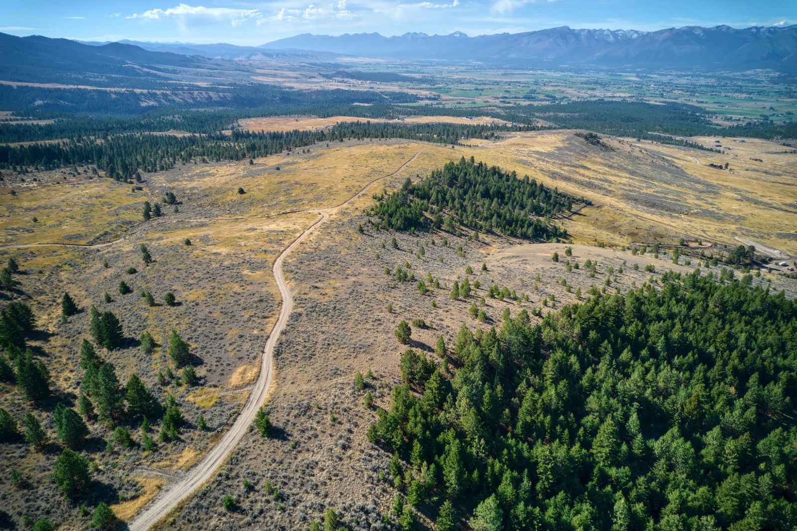 Aerial view of a sagebrush and pine hillside parcel with a dirt road