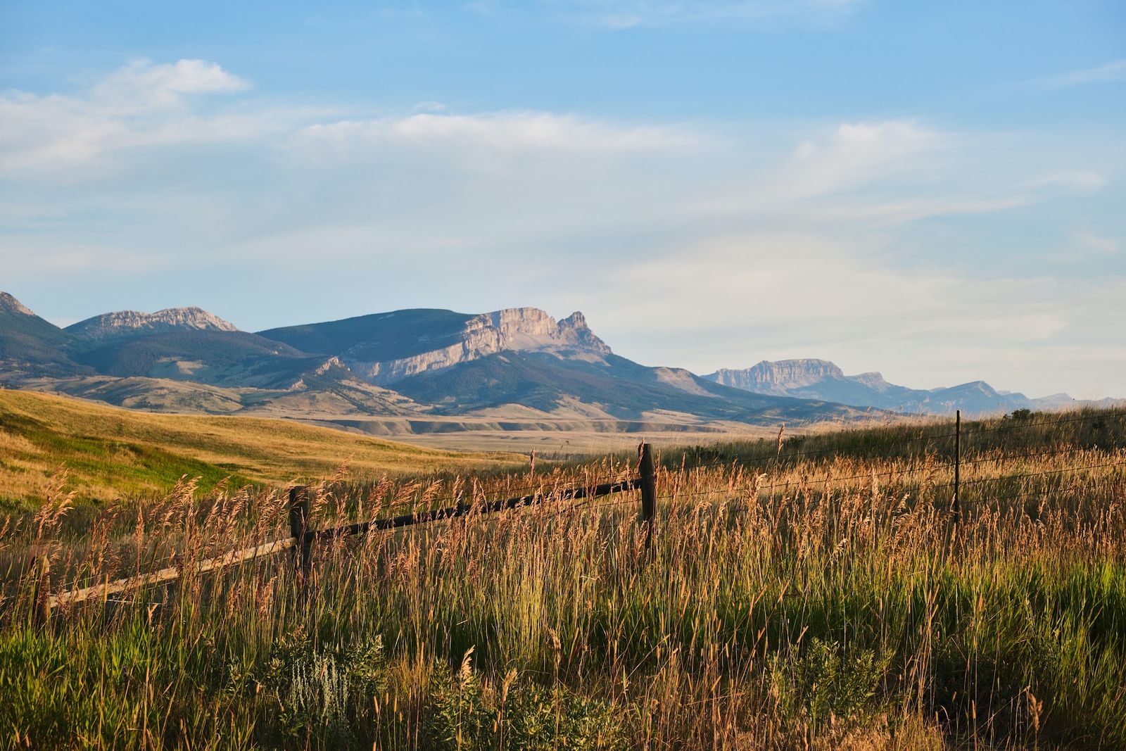 Golden Montana grassland and a wooden fence line below rugged mountains