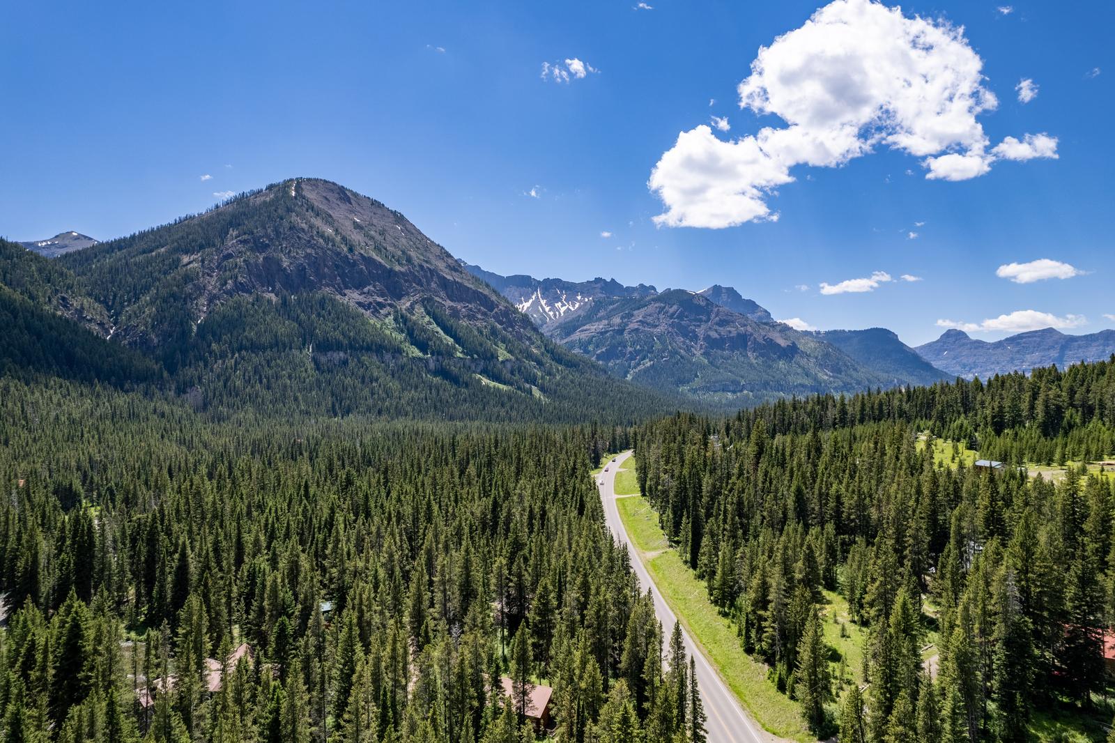 Highway through dense pine forest below a mountain peak in Park County, Montana