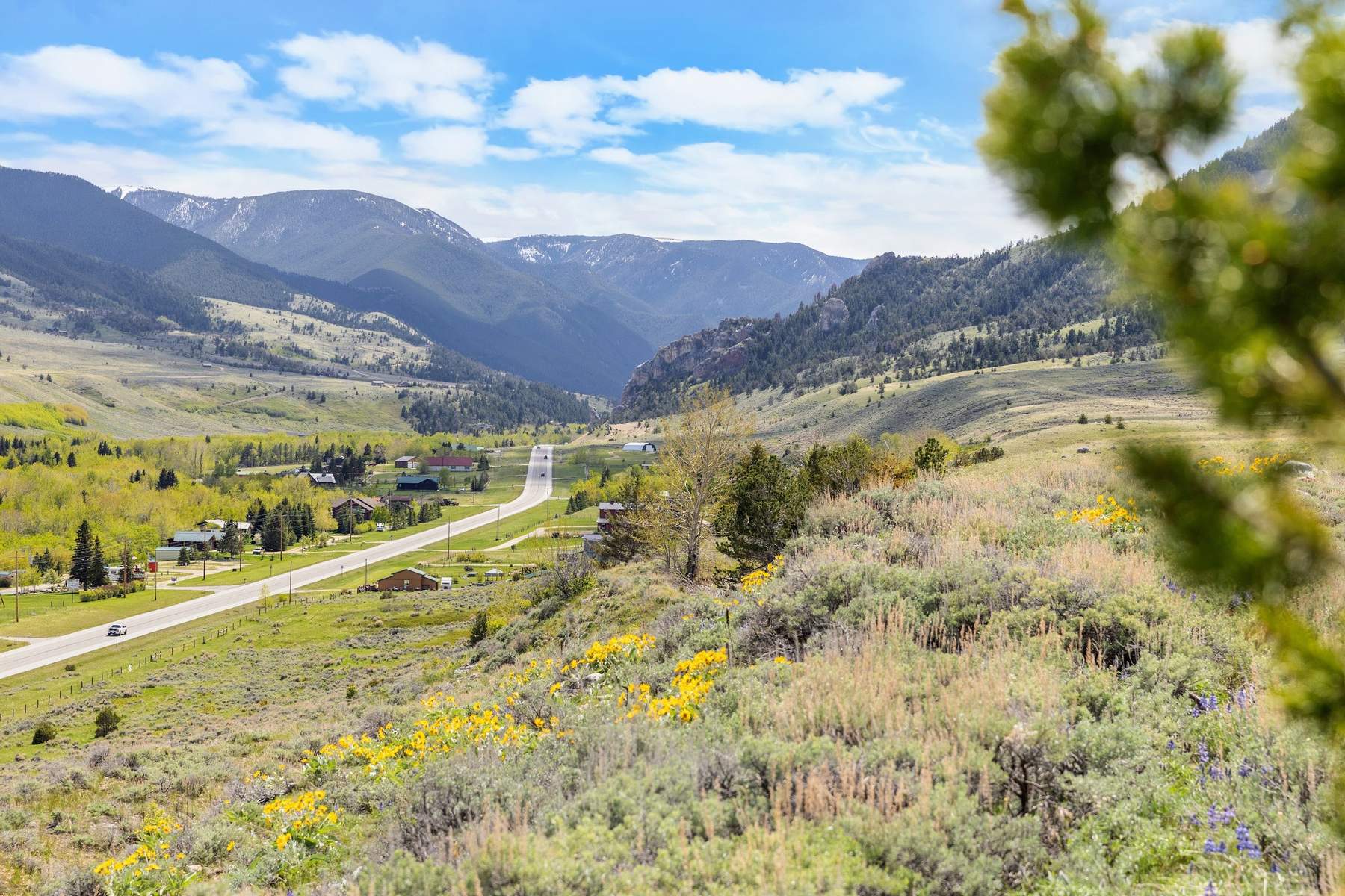 Green valley with a road winding toward the mountains, wildflowers and sage in the foreground, near Red Lodge, Montana